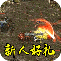 禁地之战_复古三职业小极品传奇手游入门攻略